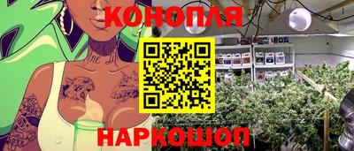jwh Будённовск