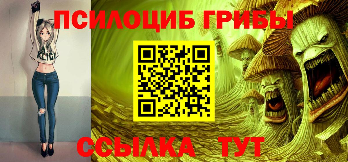 Галлюциногенные грибы Psilocybine cubensis Сафоново
